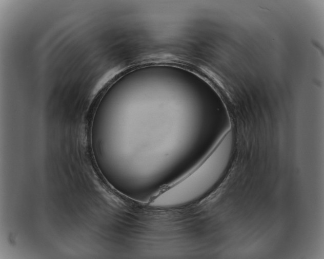 X0000091921458200709051221