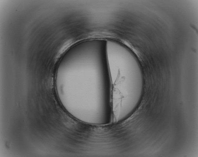 X0000091921459200709051221