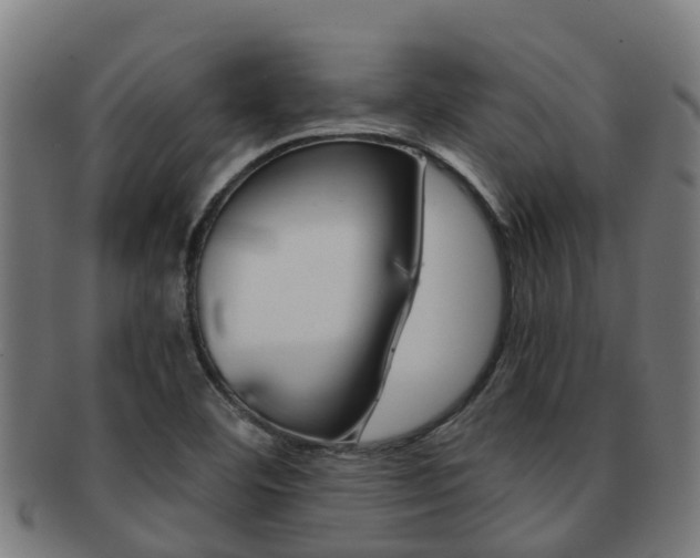 X0000091921460200709051221