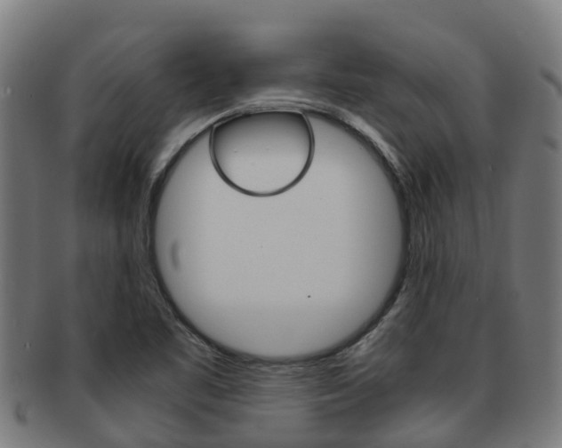 X0000091921461200709051221
