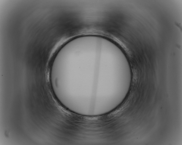 X0000091921462200709051221