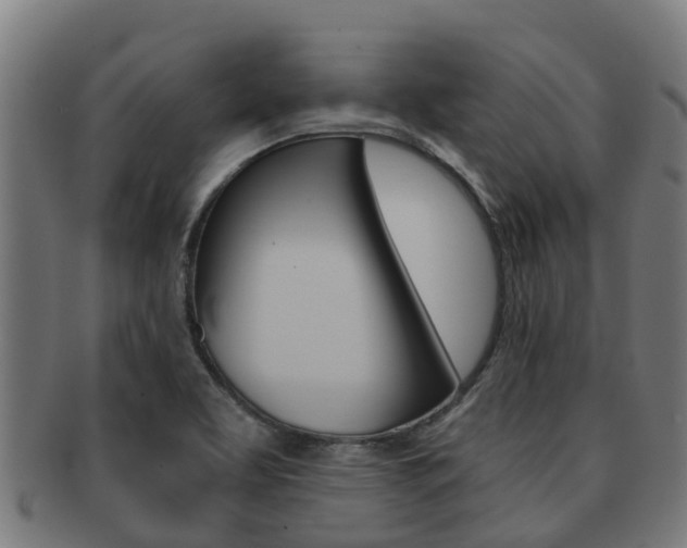 X0000091921463200709051221