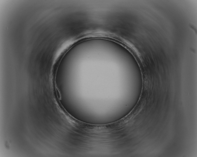 X0000091921464200709051221