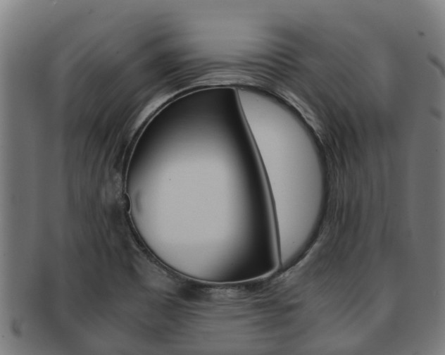 X0000091921465200709051221