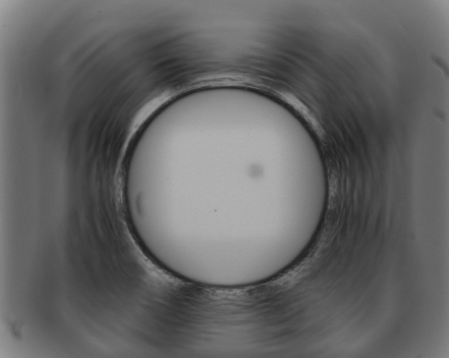 X0000091921466200709051221