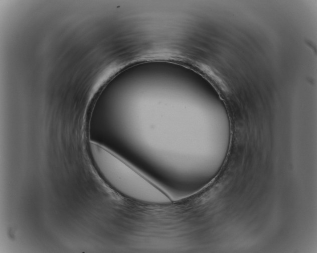 X0000091921469200709051221
