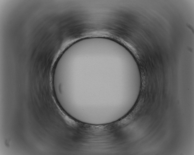 X0000091921470200709051221