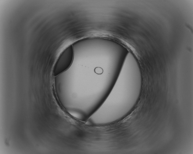 X0000091921471200709051221