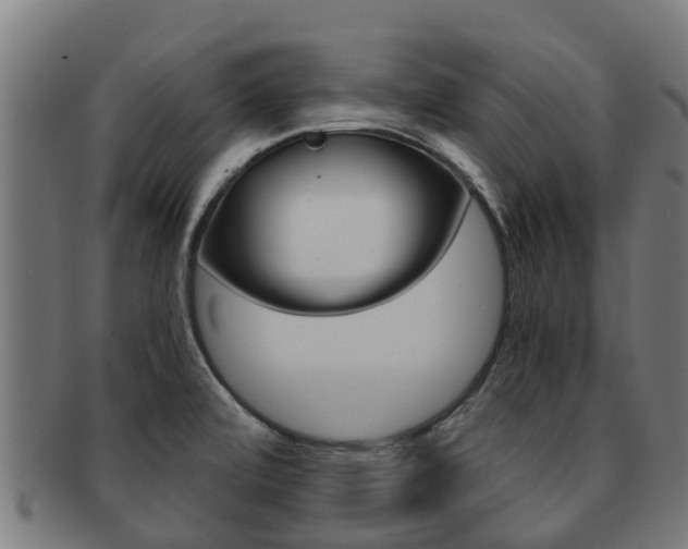 X0000091921472200709051221