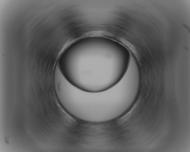 X0000091921473200709051221