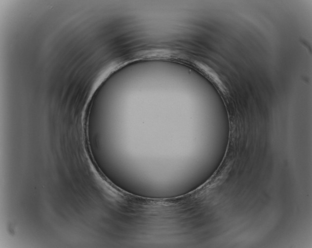X0000091921475200709051221