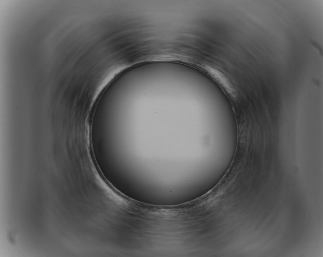X0000091921476200709051221
