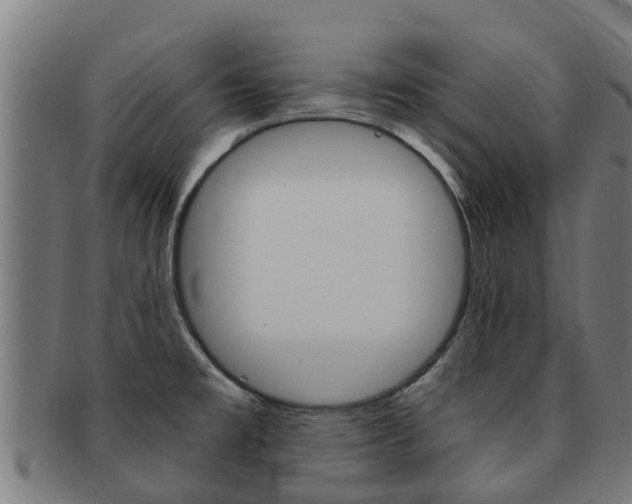 X0000091921477200709051221