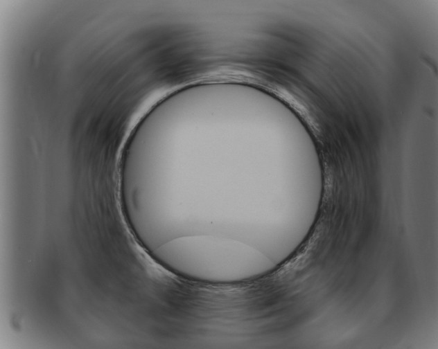 X0000091921478200709051221