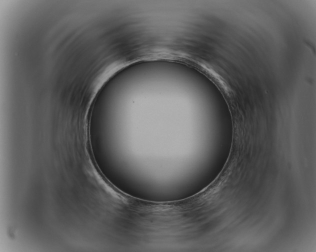 X0000091921479200709051221