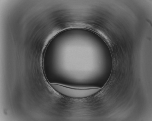X0000091921480200709051221