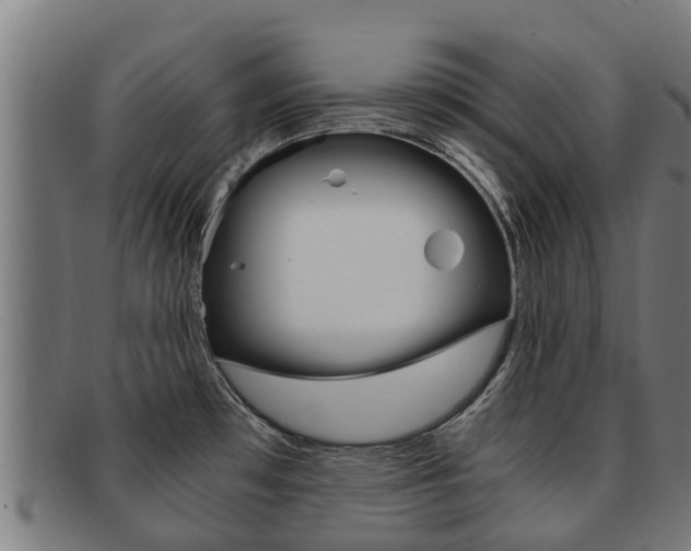 X0000091921481200709051221