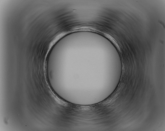 X0000091921482200709051221