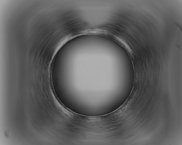 X0000091921483200709051221
