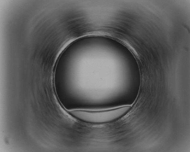 X0000091921484200709051221