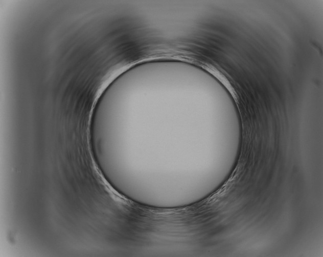 X0000091921485200709051221