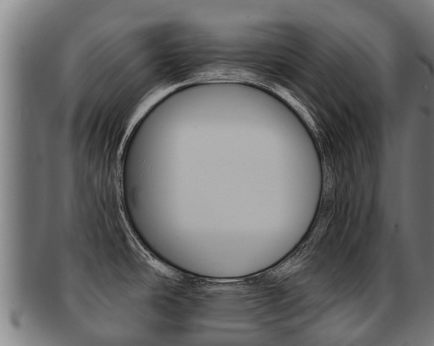X0000091921486200709051221