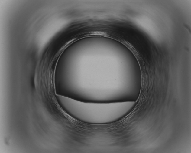 X0000091921487200709051221