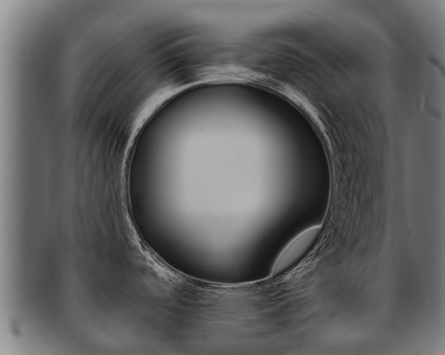 X0000091921488200709051221