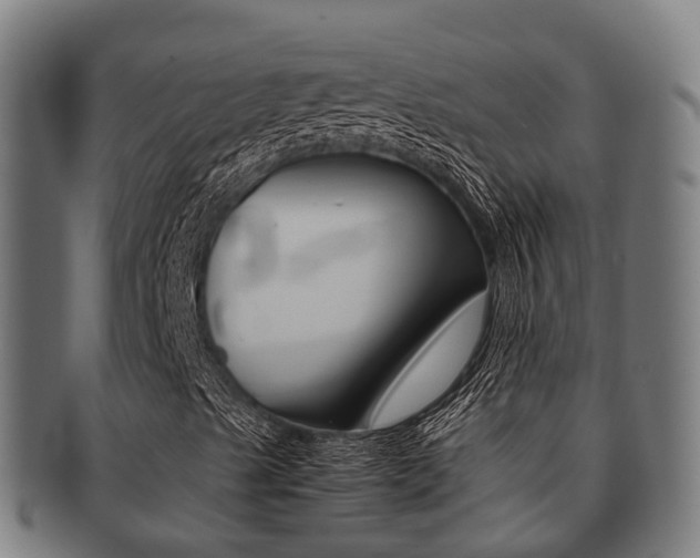 X0000091921489200709051221