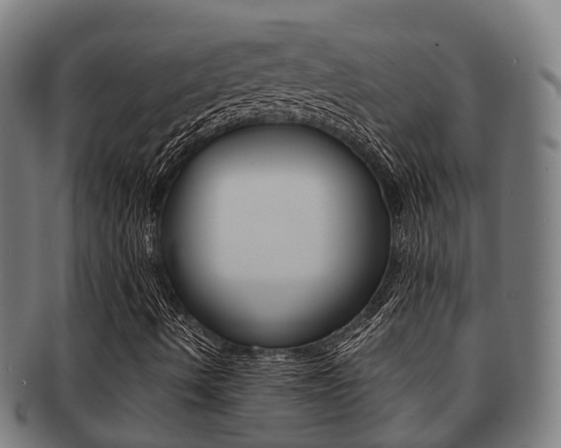 X0000091921490200709051221