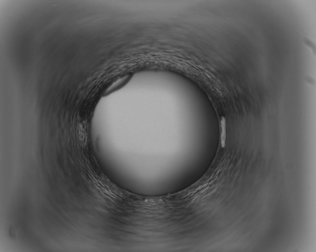X0000091921491200709051221