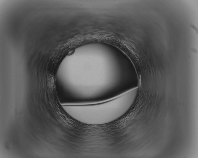 X0000091921492200709051221