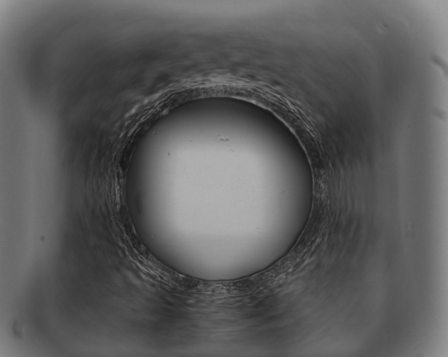 X0000091921493200709051221