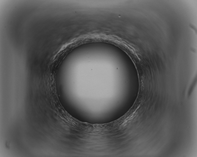 X0000091921494200709051221