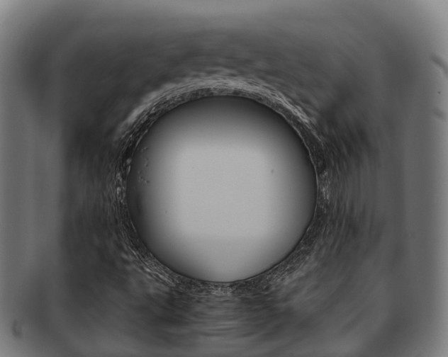 X0000091921495200709051221
