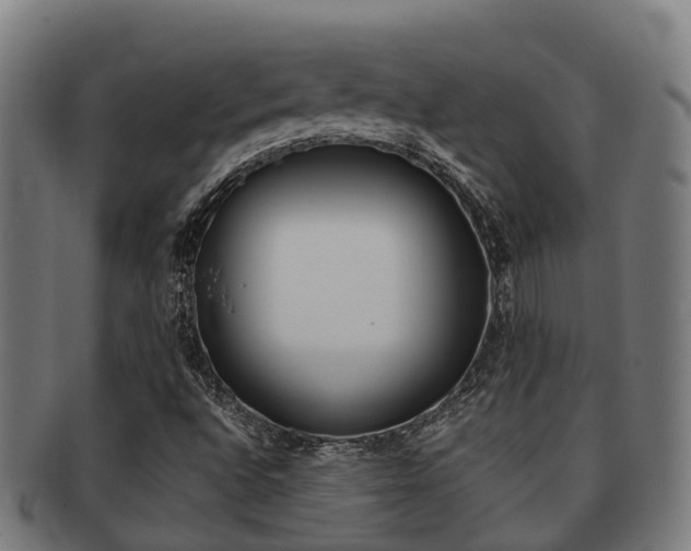 X0000091921496200709051221
