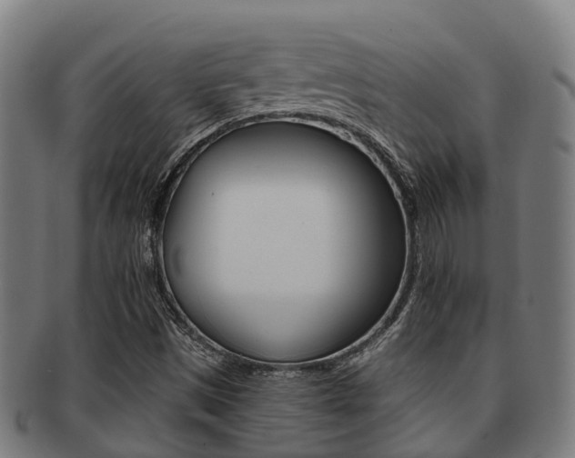 X0000091921497200709051221