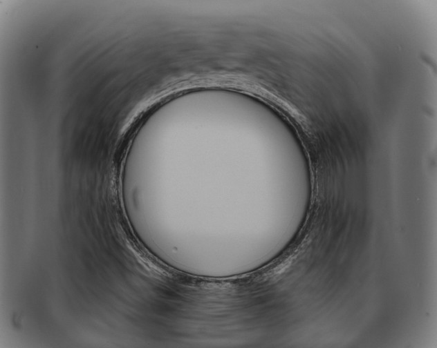 X0000091921498200709051221