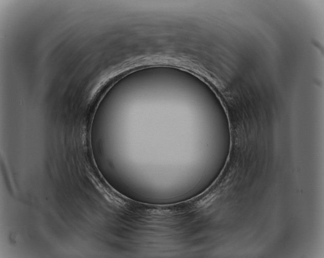 X0000091921499200709051221