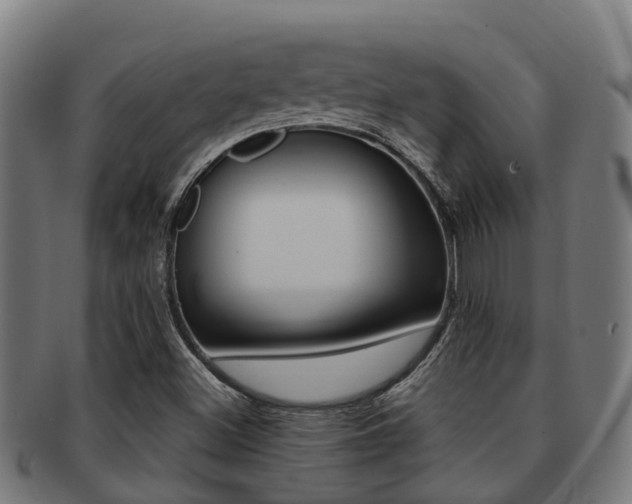 X0000091921500200709051221