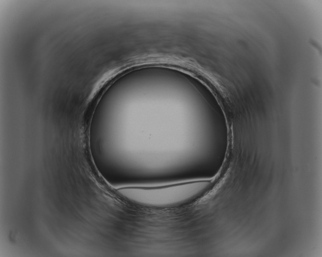 X0000091921501200709051221