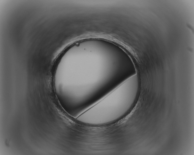 X0000091921502200709051221