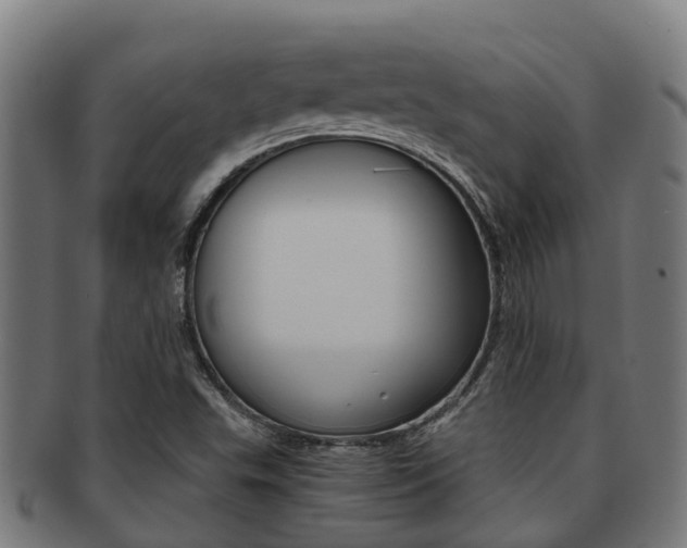X0000091921503200709051221