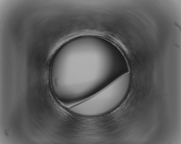 X0000091921504200709051221