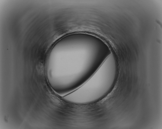 X0000091921505200709051221