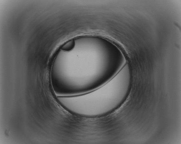 X0000091921506200709051221