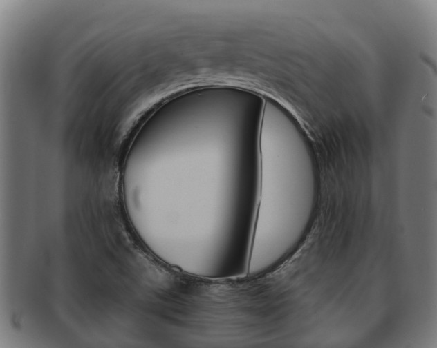X0000091921507200709051221