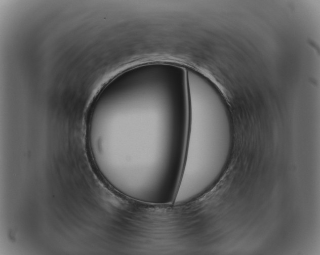 X0000091921508200709051221