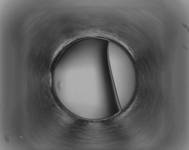 X0000091921509200709051221