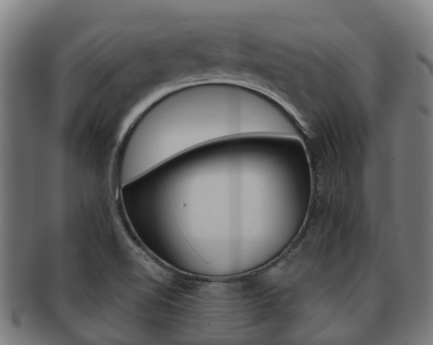 X0000091921510200709051221